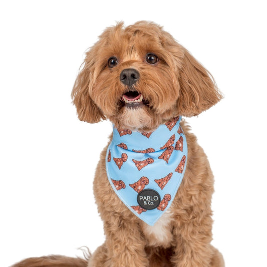 Cavoodle - Dog Bandana