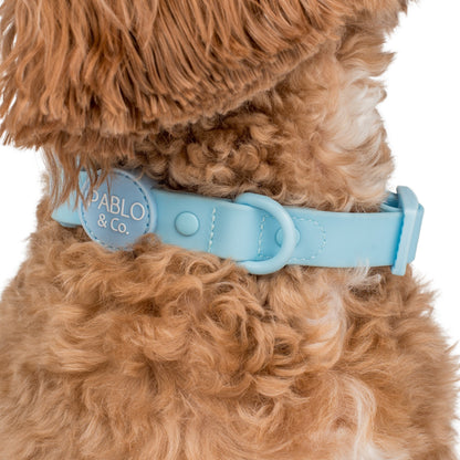 Sea Salt: Waterproof Collar