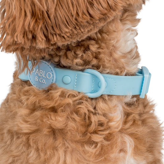 Sea Salt: Waterproof Collar