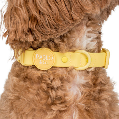 Lemonade: Waterproof Collar