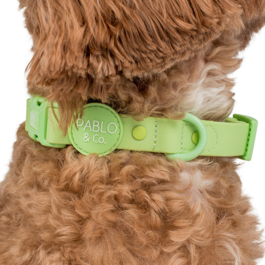 Lime: Waterproof Collar