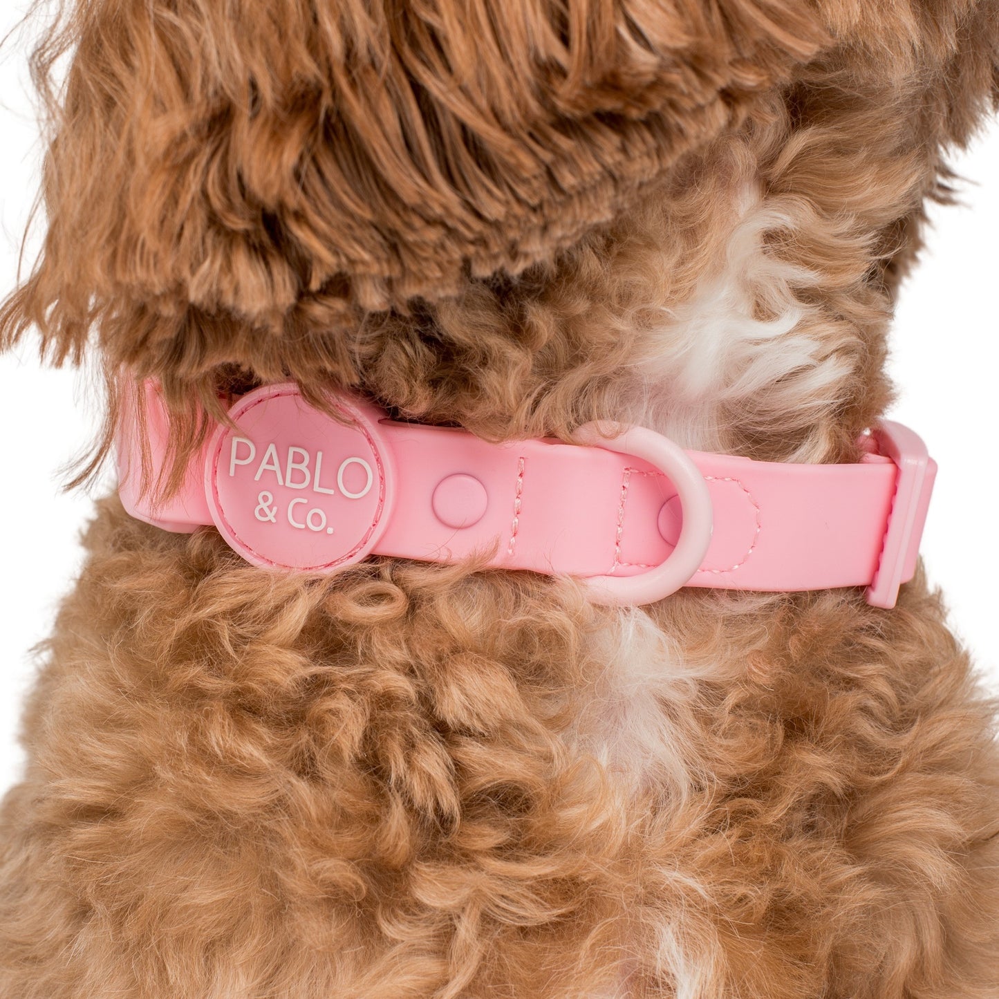 Bubblegum: Waterproof Collar