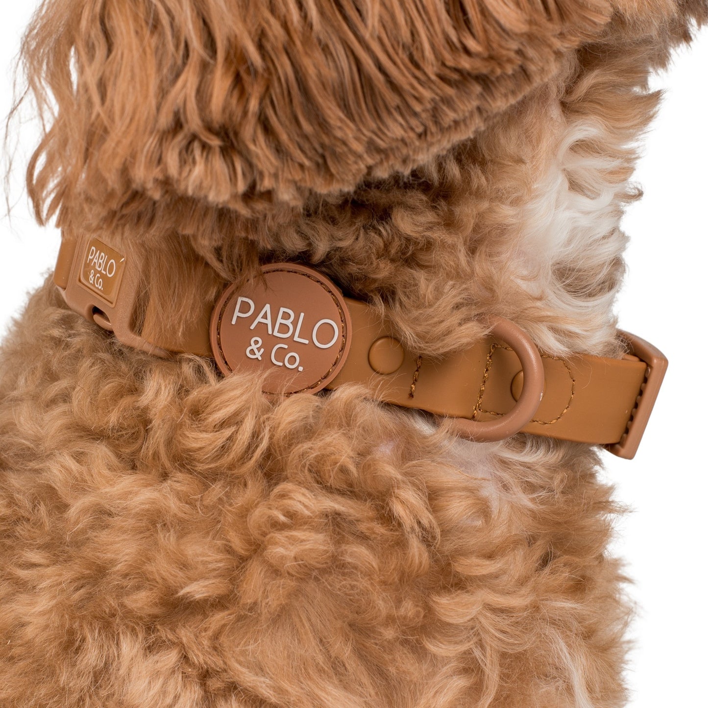 Fudge: Waterproof Collar