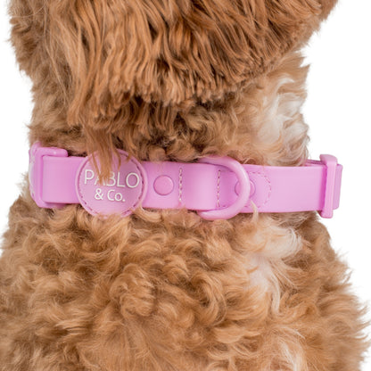 Lavender: Waterproof Collar