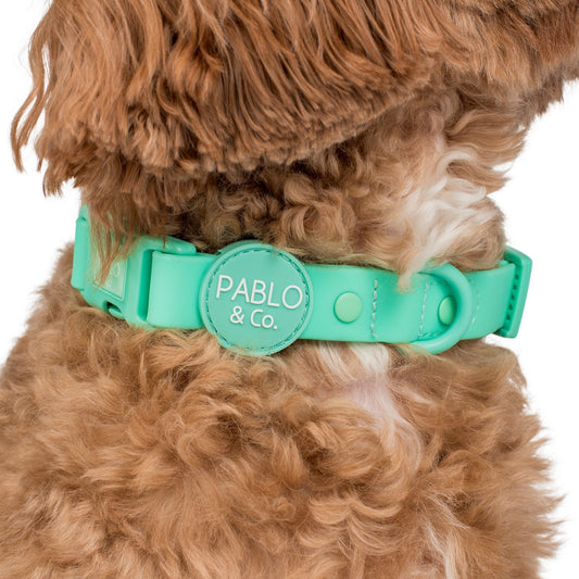 Peppermint: Waterproof Collar