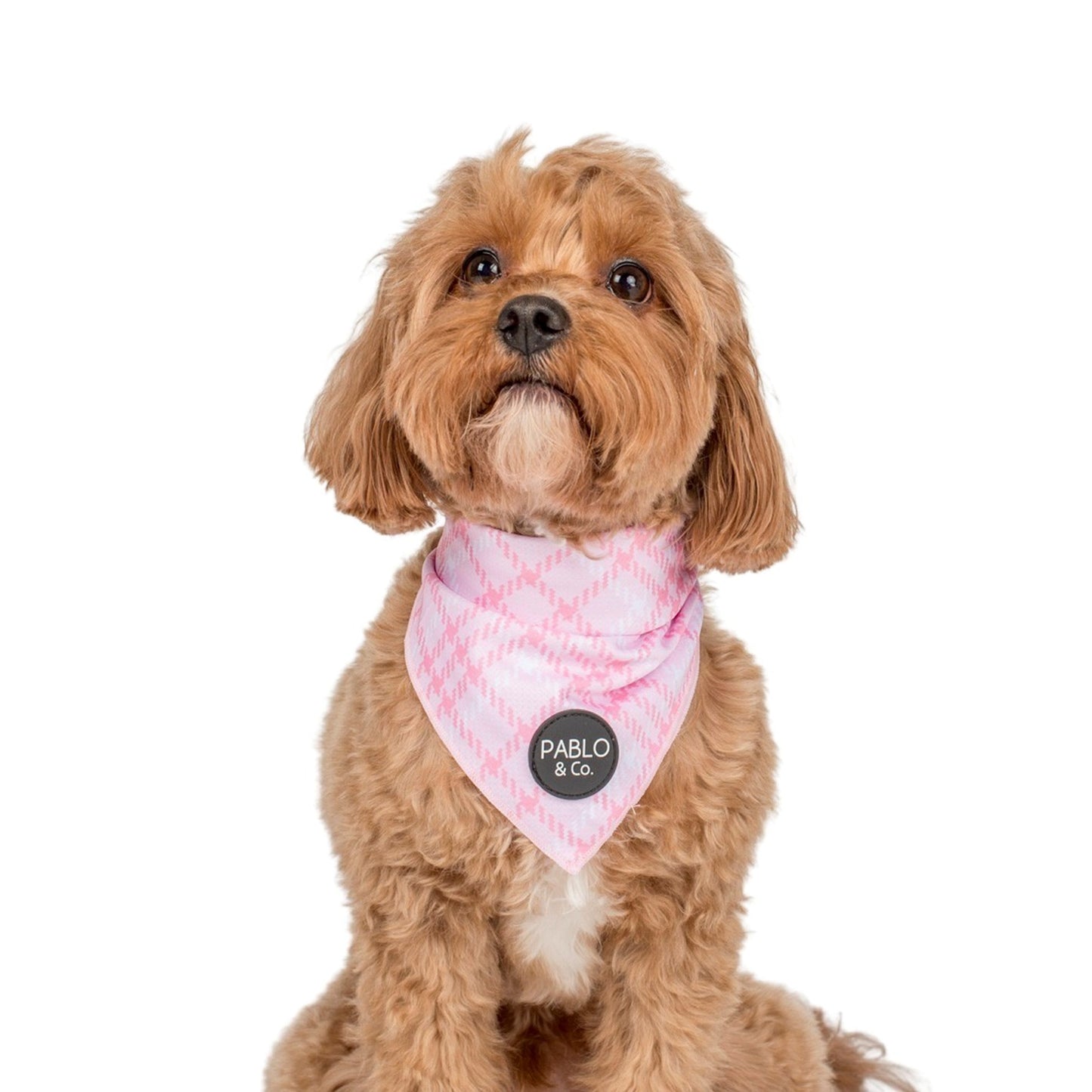 Pink Houndstooth - Dog Bandana