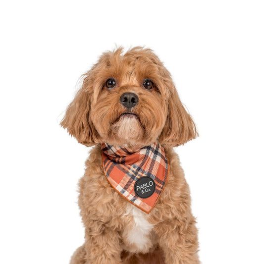 Vintage Plaid - Dog Bandana