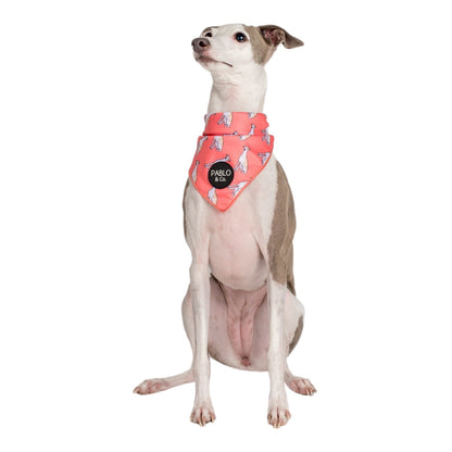 Italian Greyhound - Dog Bandana