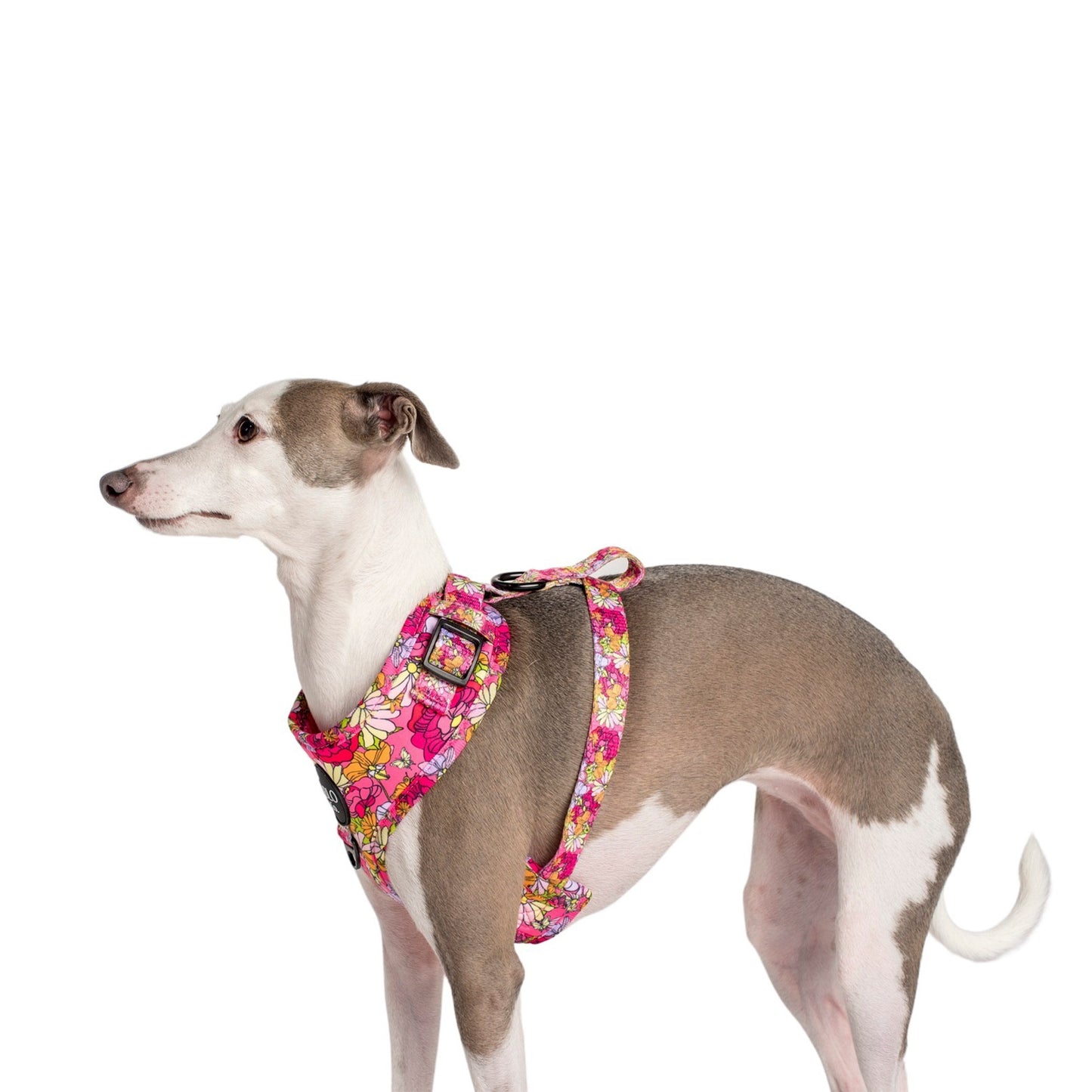 In Bloom: Adjustable Harness