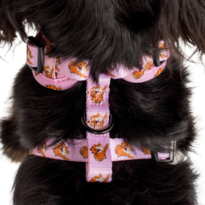 Pomeranian: Adjustable Harness