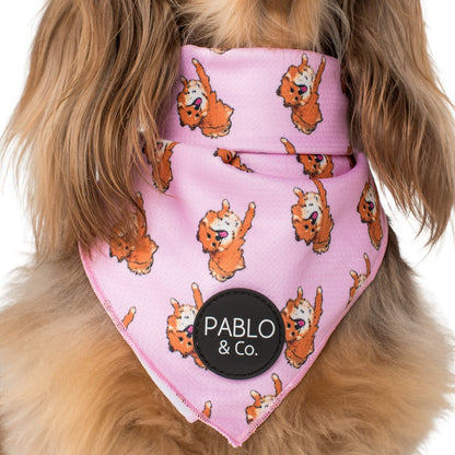 Pomeranian - Dog Bandana