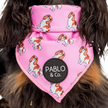 Cavalier King Charles - Dog Bandana