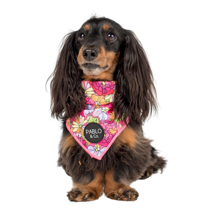 In Bloom - Dog Bandana