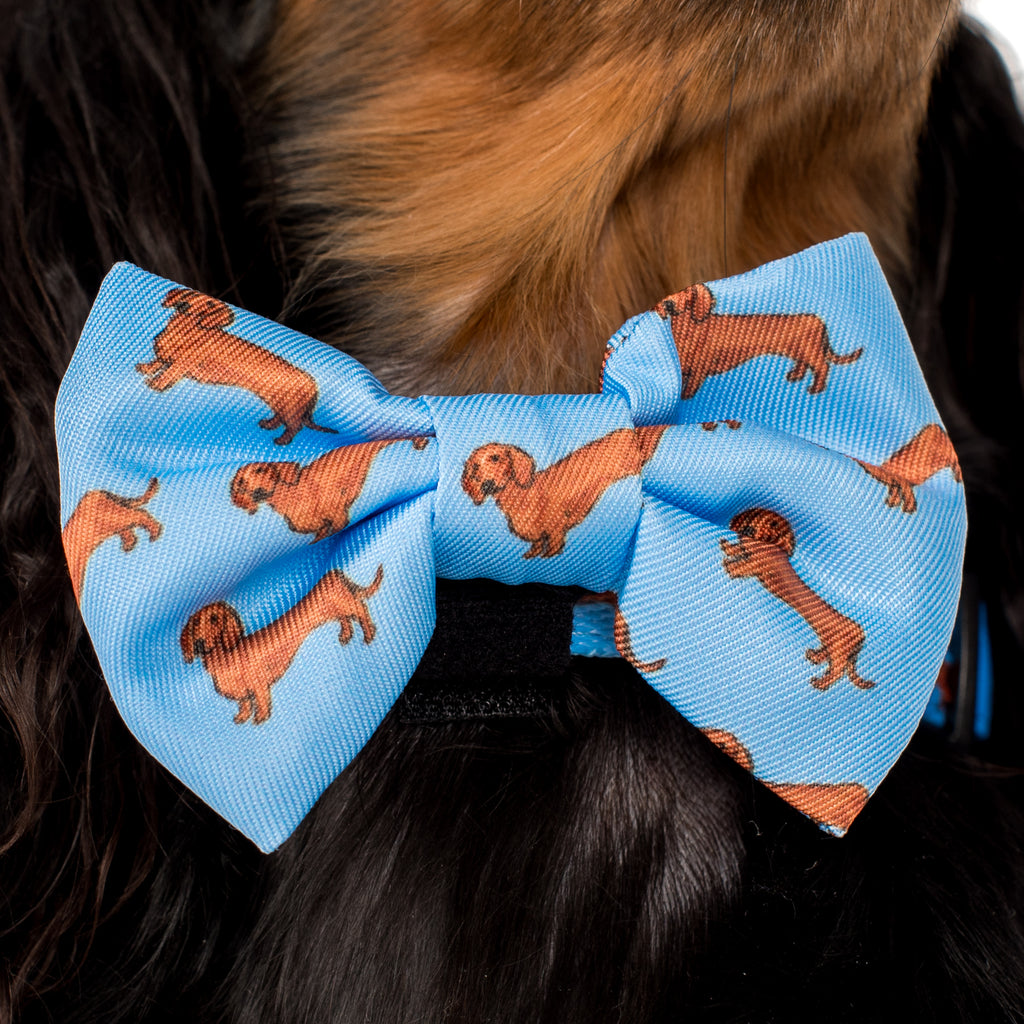 Dachshund: Bow Tie – Pablo & Co. Boutique