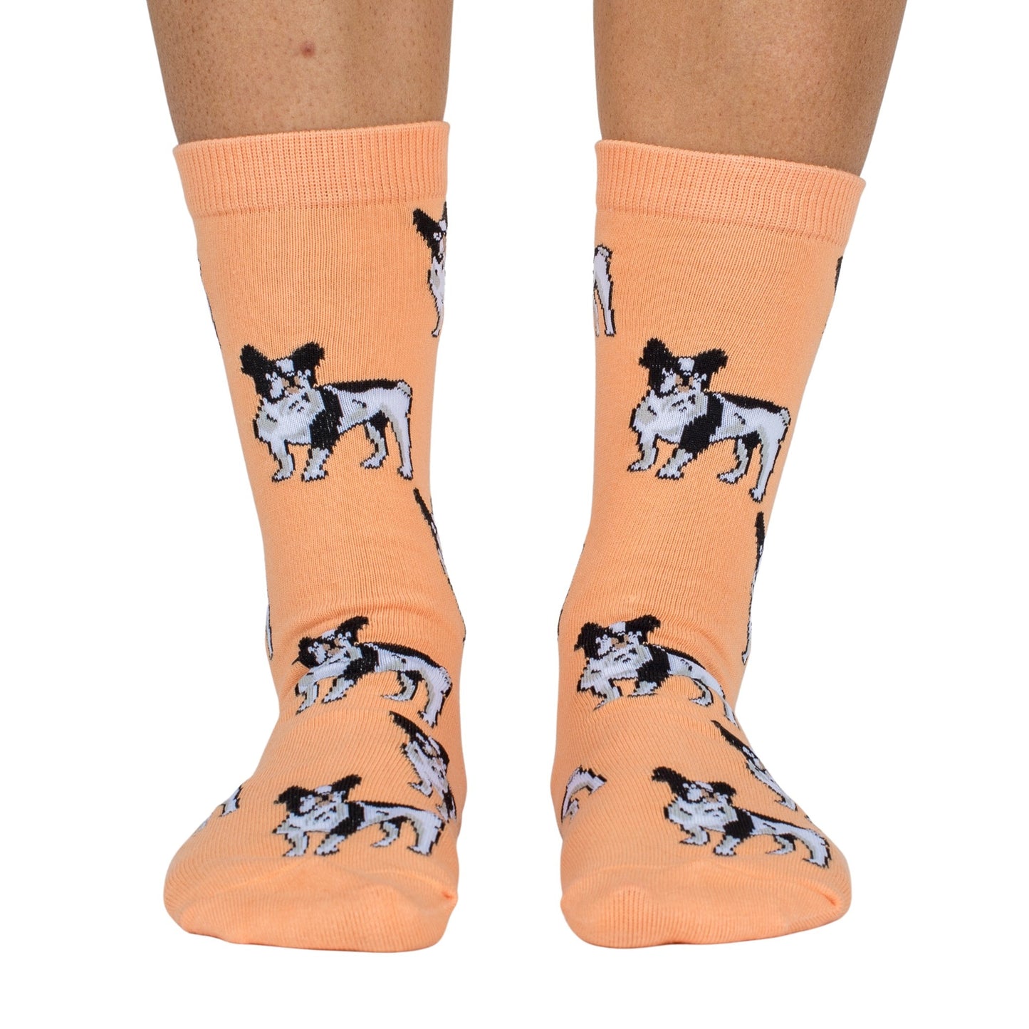 French Bulldog: Breed Socks