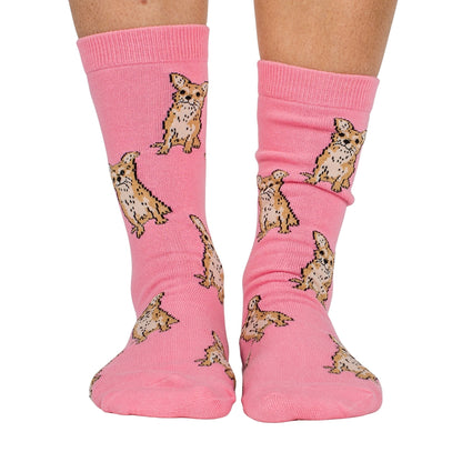 Chihuahua: Breed Socks