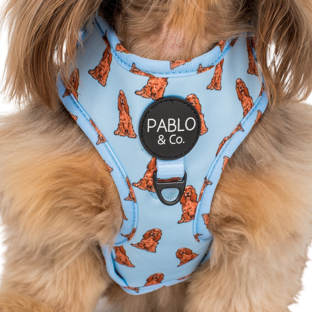 Working Cocker Harness Cocker Spaniel: Adjustable Harness – Pablo & Co. Boutique