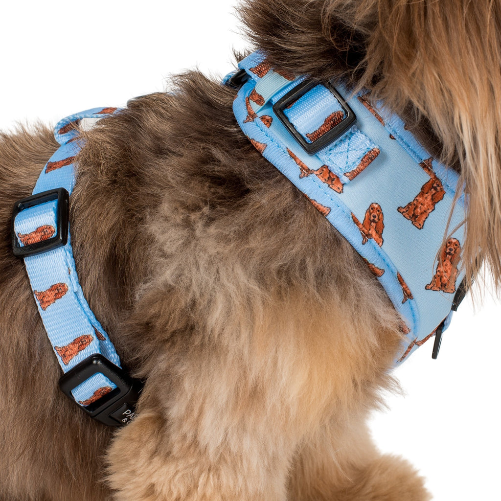 Working Cocker Harness Cocker Spaniel: Adjustable Harness – Pablo & Co. Boutique