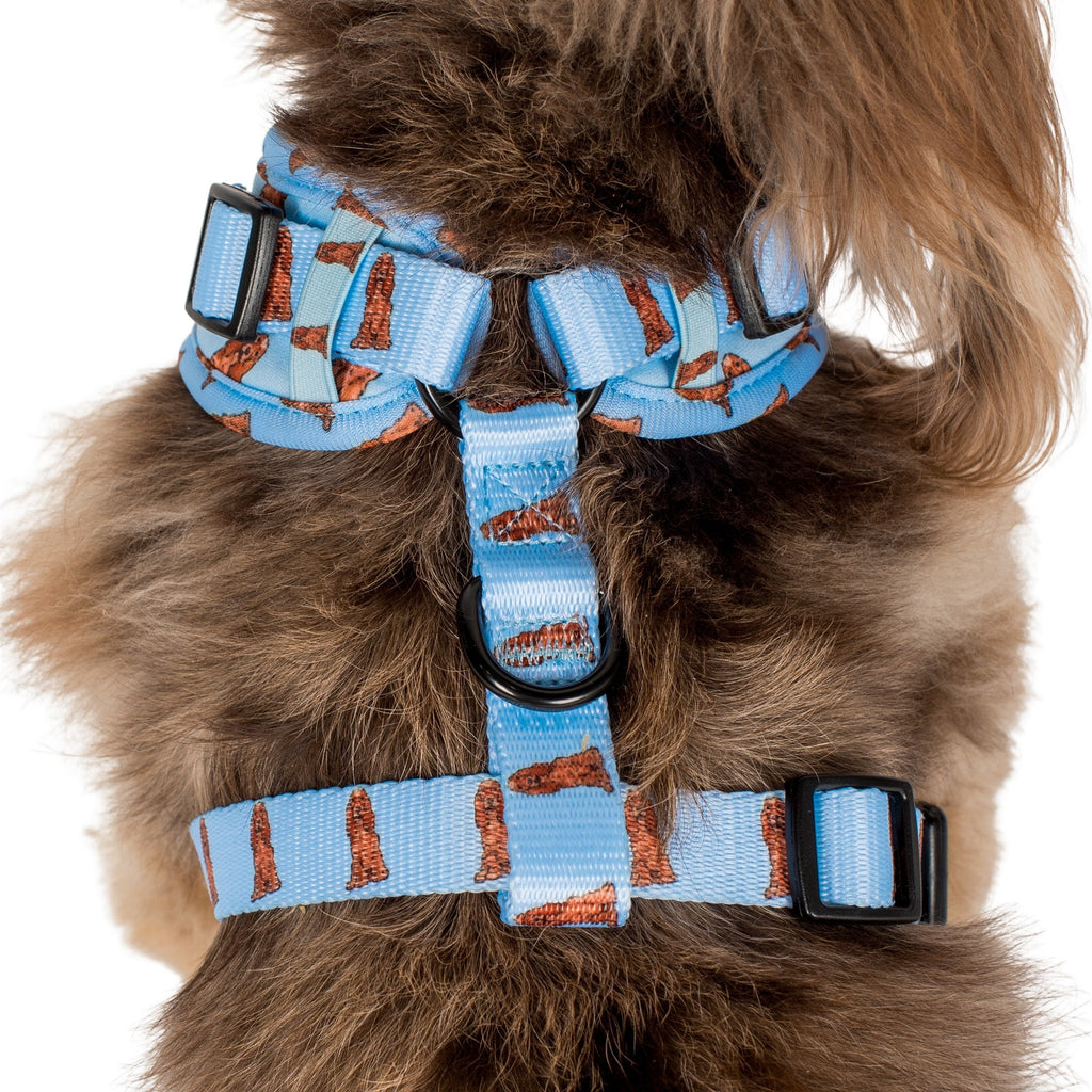 Working Cocker Harness Cocker Spaniel: Adjustable Harness – Pablo & Co. Boutique
