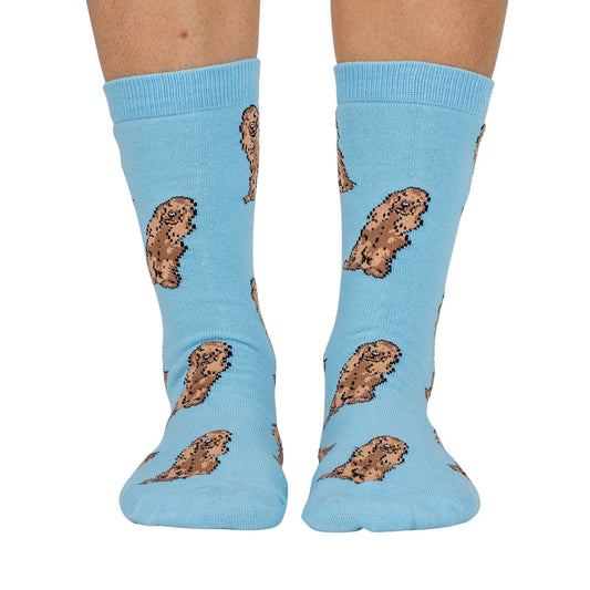 Cocker Spaniel: Breed Socks