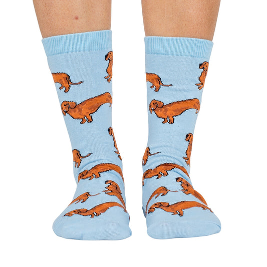 Blue Dachshund: Breed Socks