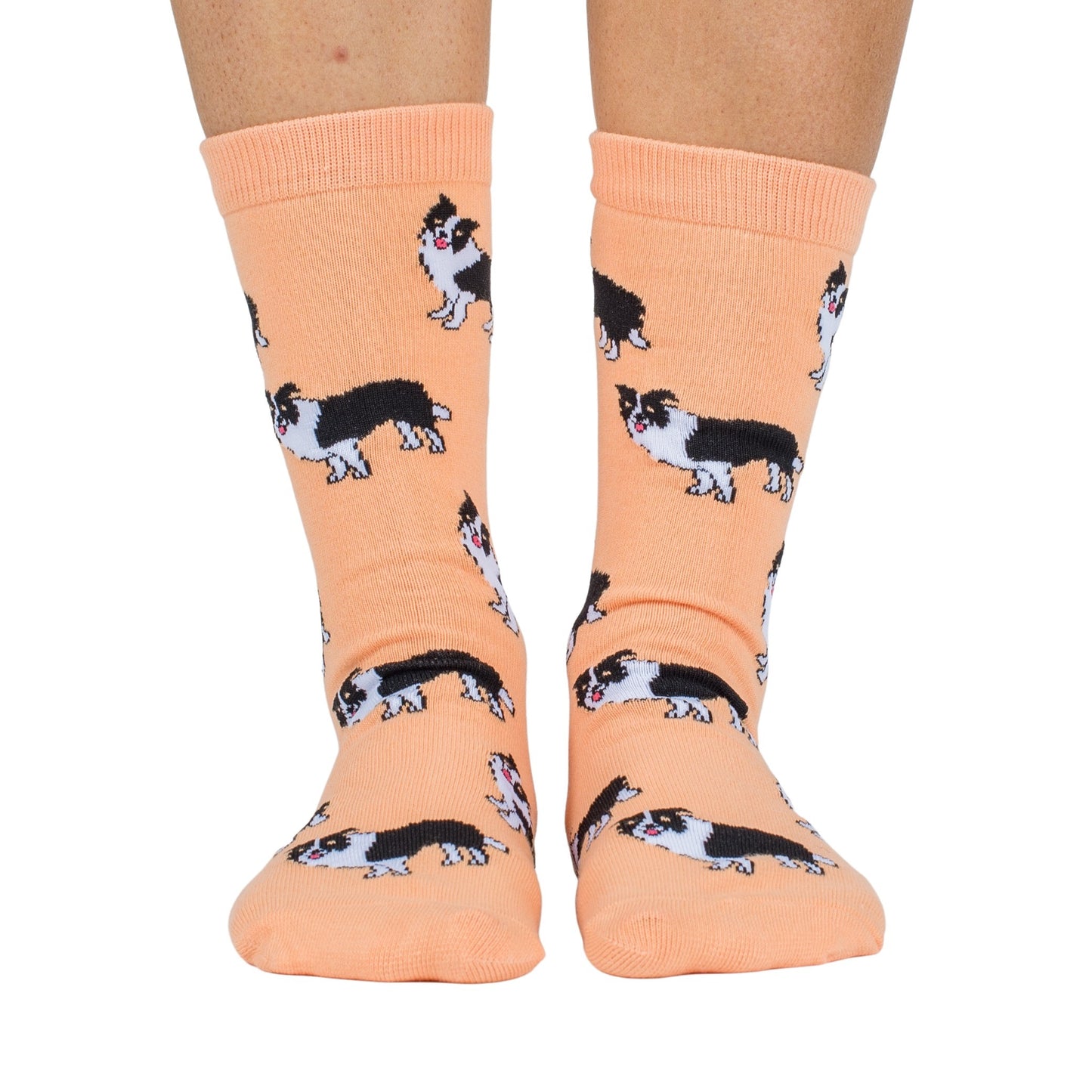 Border Collie: Breed Socks