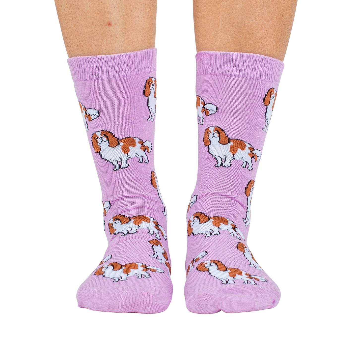 Cavalier King Charles: Breed Socks