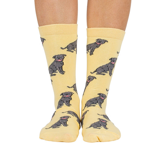 Staffy: Breed Socks