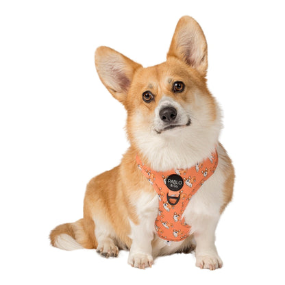 Corgi: Adjustable Harness