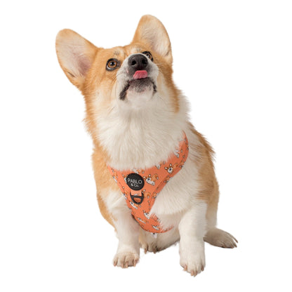 Corgi: Adjustable Harness