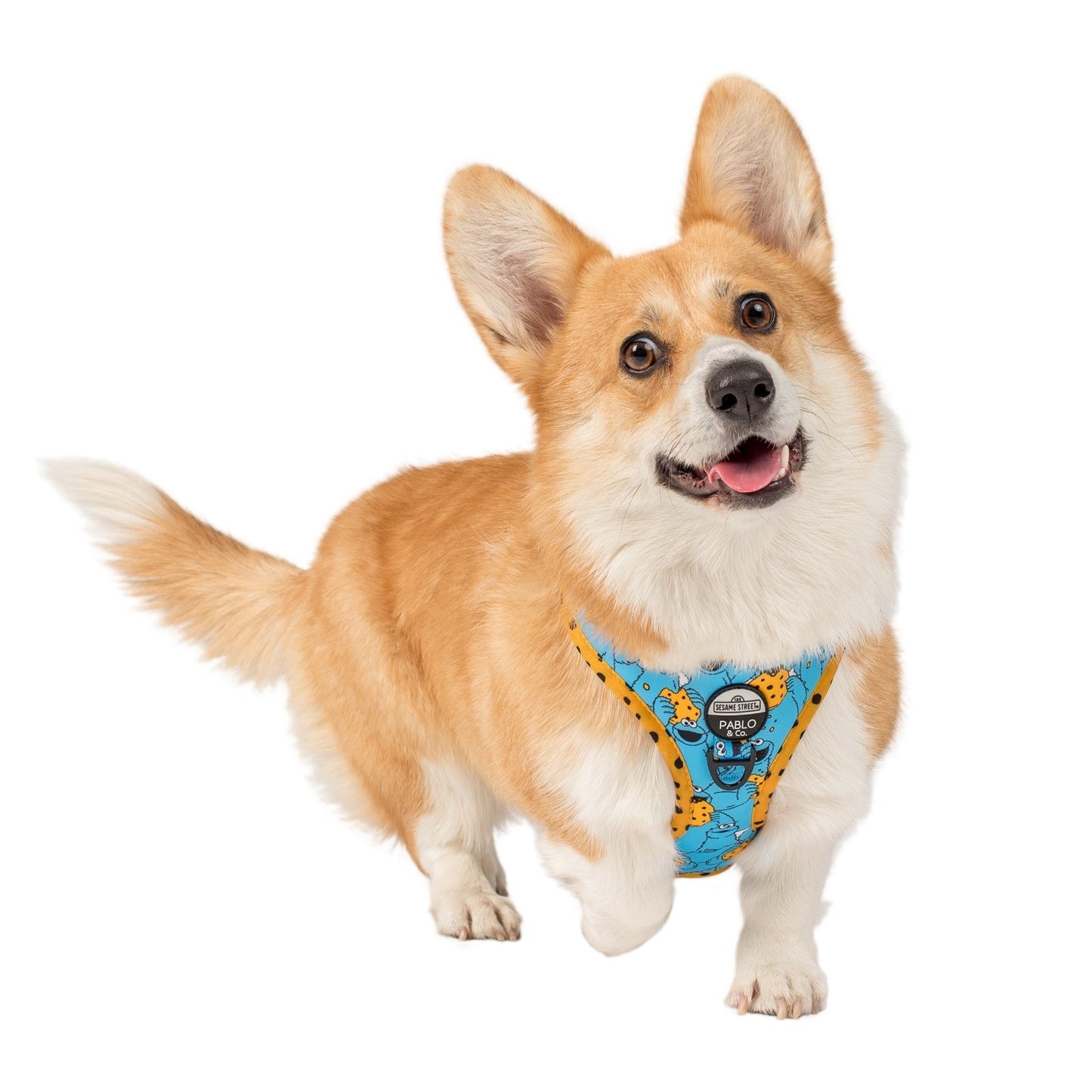 Cookie Monster: Adjustable Harness