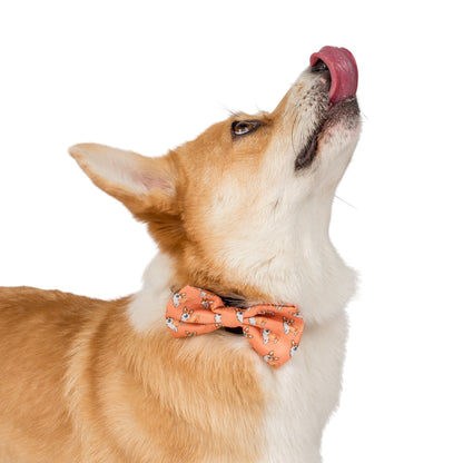 Corgi: Bow Tie