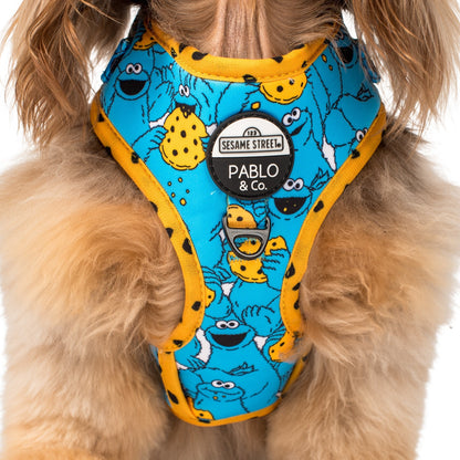 Cookie Monster: Adjustable Harness