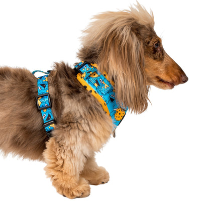 Cookie Monster: Adjustable Harness