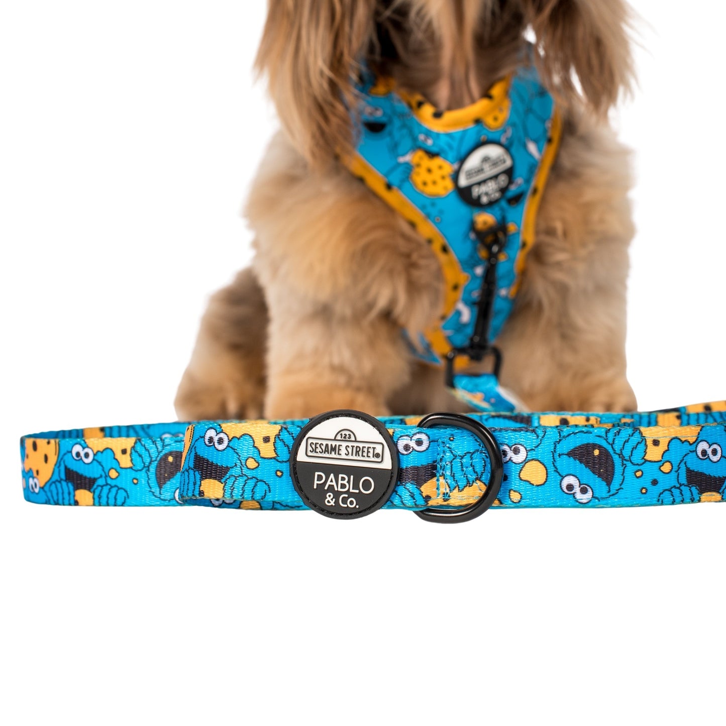 Sesame Street - Cookie Monster: Dog Leash