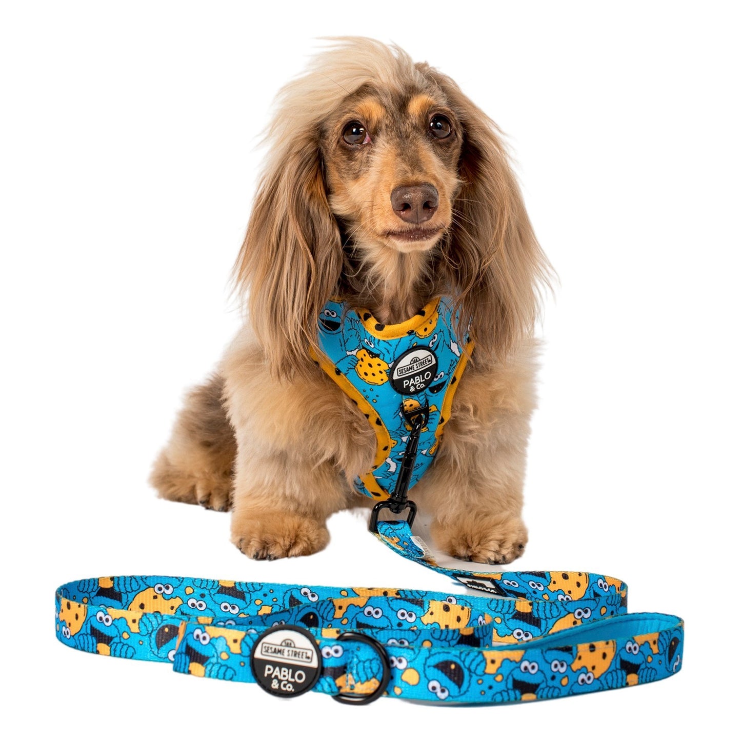 Sesame Street - Cookie Monster: Dog Leash