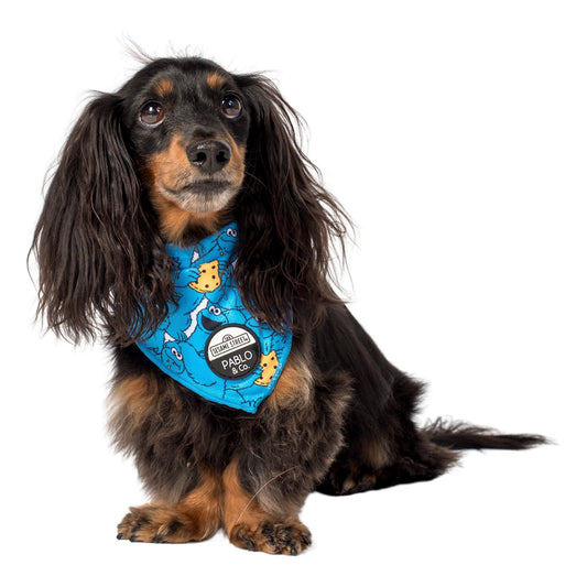 Sesame Street - Cookie Monster: Dog Bandana