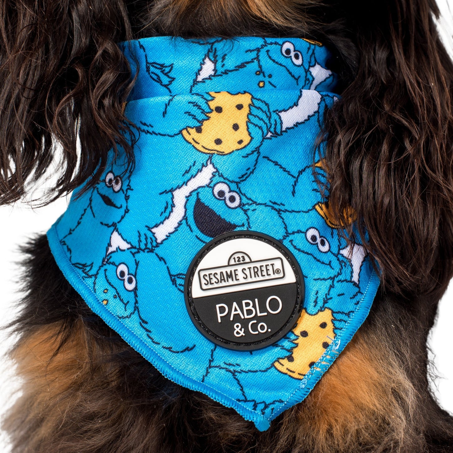 Sesame Street - Cookie Monster: Dog Bandana