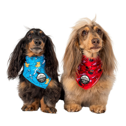 Sesame Street - Cookie Monster: Dog Bandana