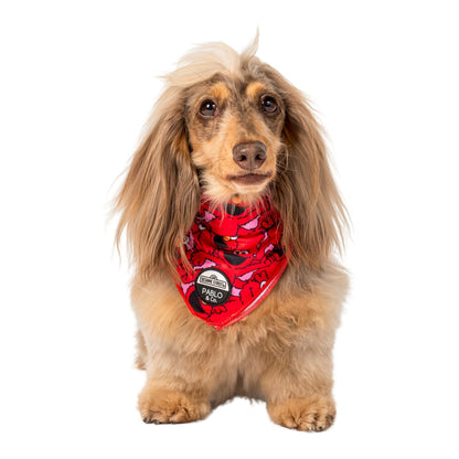 Sesame Street - Elmo: Dog Bandana