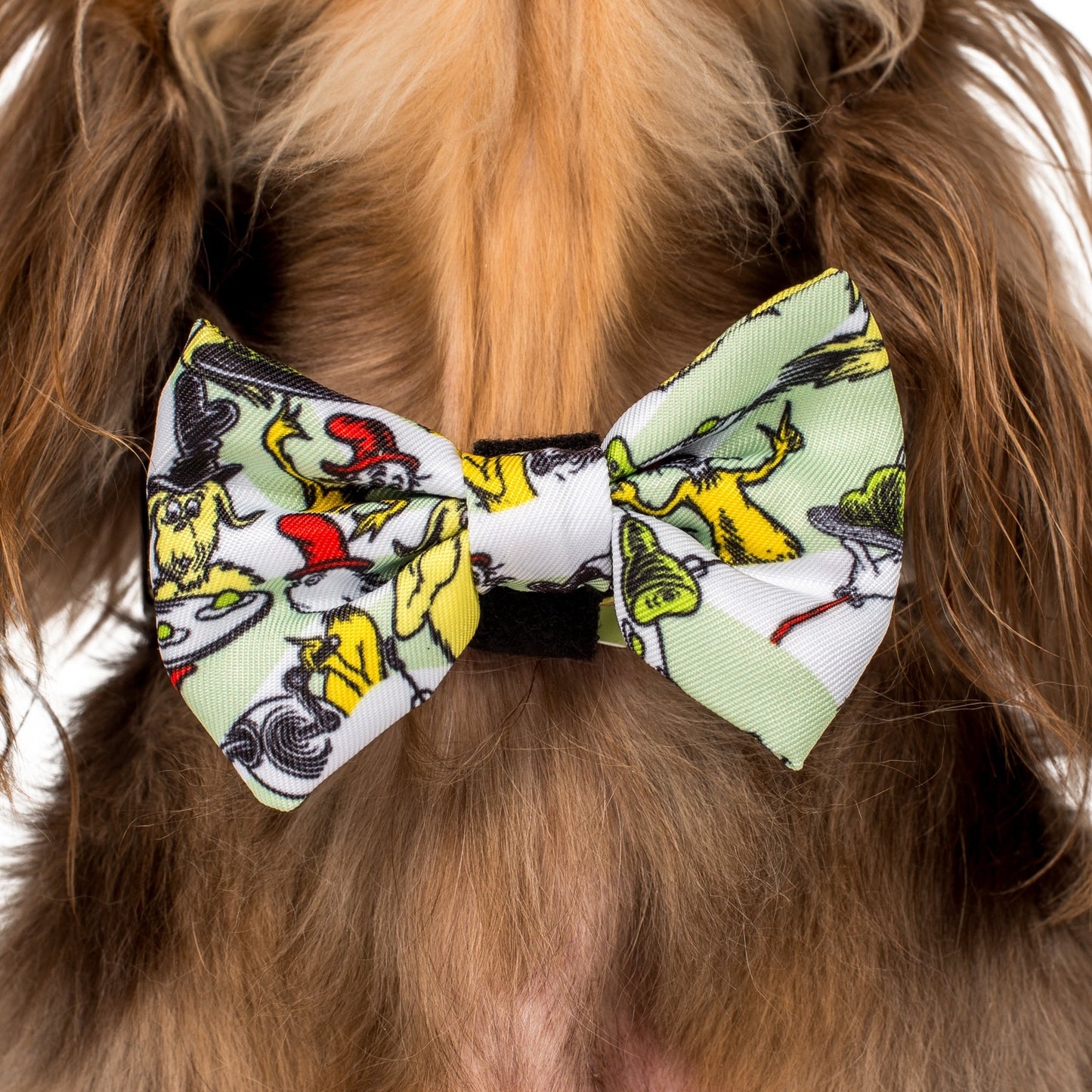 Dr. Seuss' Green Eggs & Ham: Bow Tie