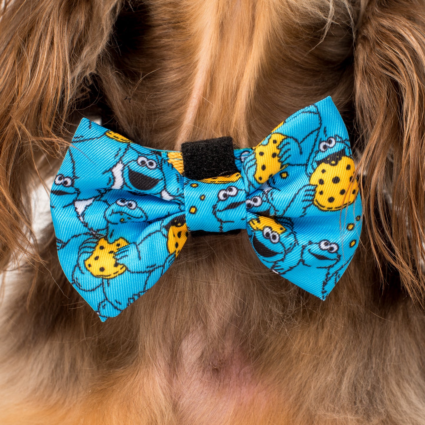 Sesame Street - Cookie Monster: Bow Tie