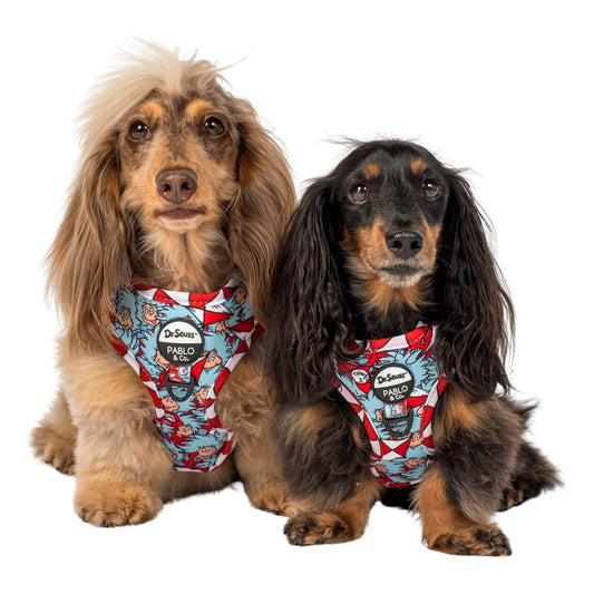 Dr. Seuss' Thing 1 & Thing 2: Adjustable Harness