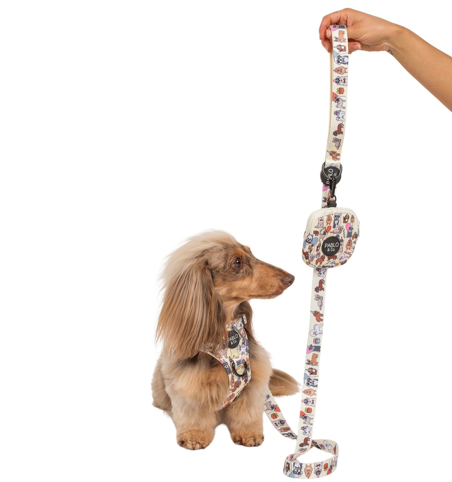 Party Dawgs: Treat Pouch