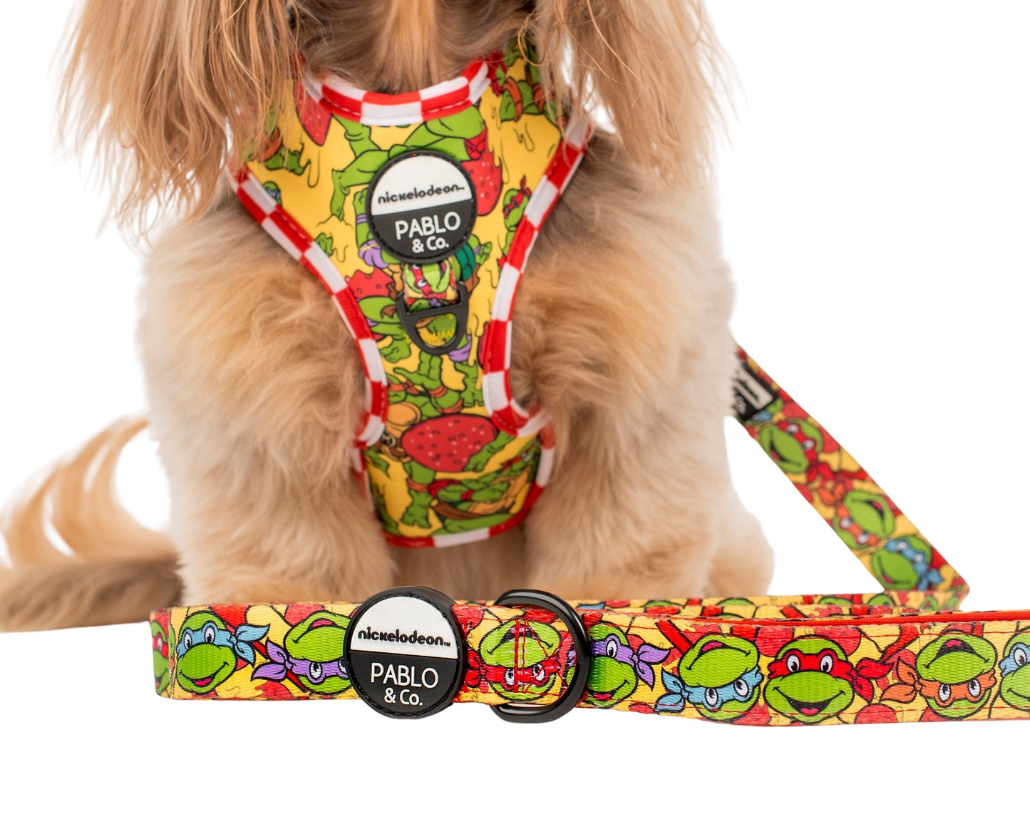 TMNT - Pizza Party: Dog Leash