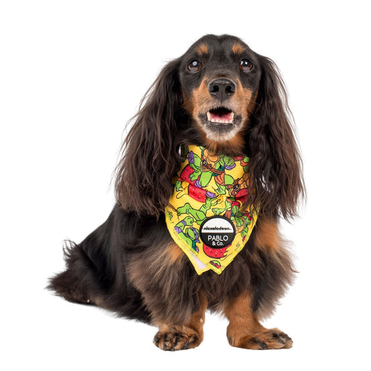 TMNT - Pizza Party: Dog Bandana