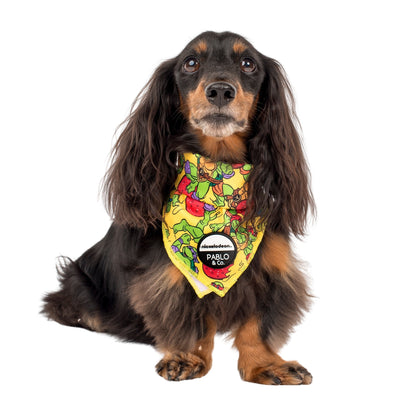 TMNT - Pizza Party: Dog Bandana