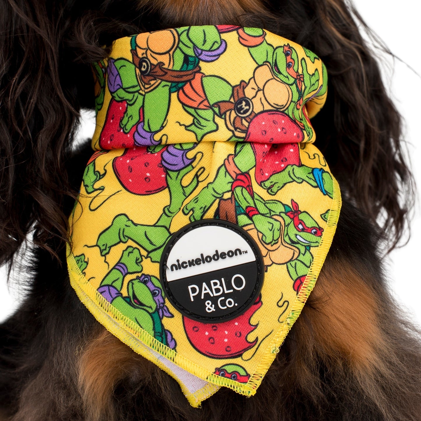 TMNT - Pizza Party: Dog Bandana