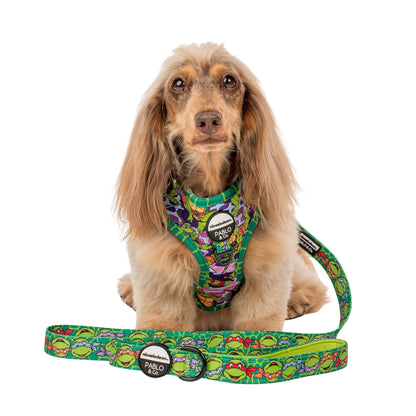 TMNT - Mutant Mayhem: Dog Leash