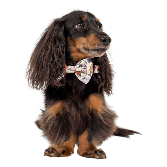 Party Dawgs: Bow Tie